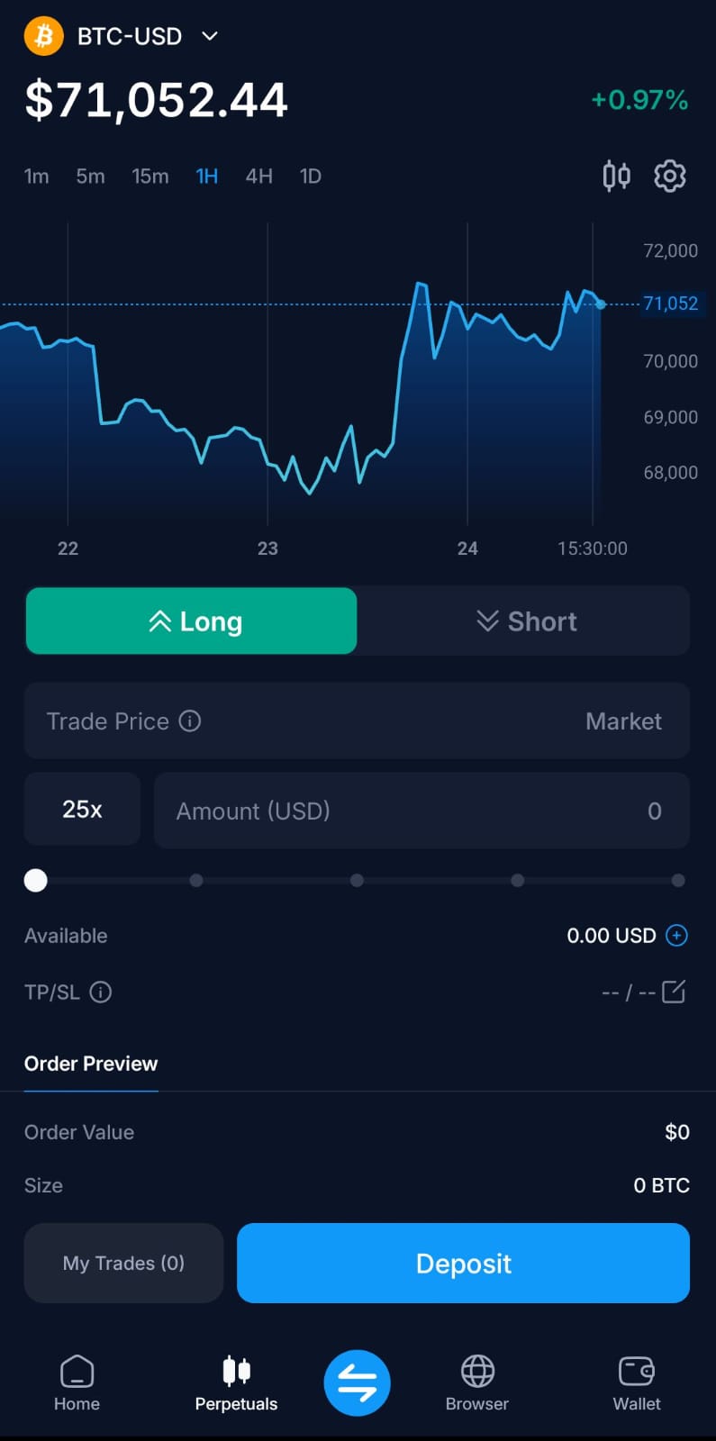 Mobile app portfolio preview