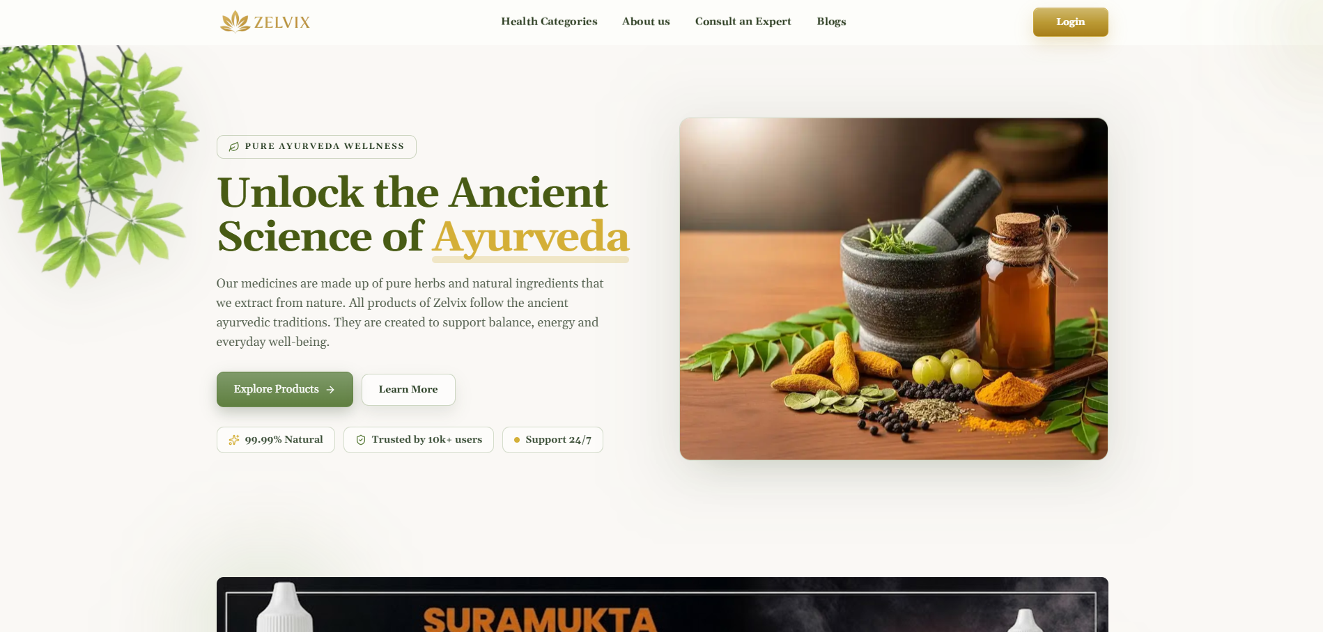 Web app portfolio preview